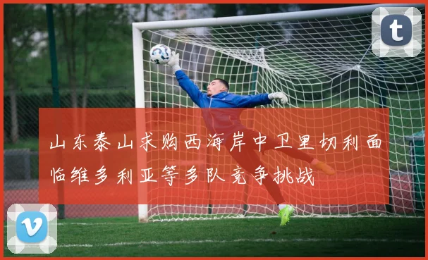 山东泰山求购西海岸中卫里切利面临维多利亚等多队竞争挑战