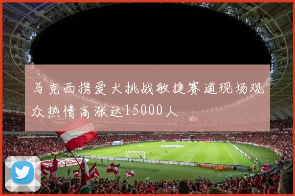 马克西携爱犬挑战敏捷赛道现场观众热情高涨达15000人